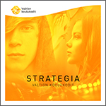 Valtion koulukotien strategia